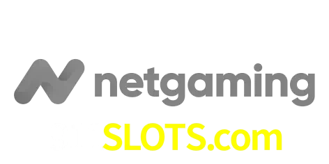 NetGaming